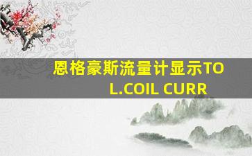 恩格豪斯流量计显示TOL.COIL CURR